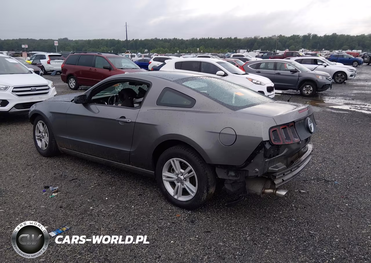 2013 Ford Mustang V6 VIN:1ZVBP8AM0D5268797 - 3