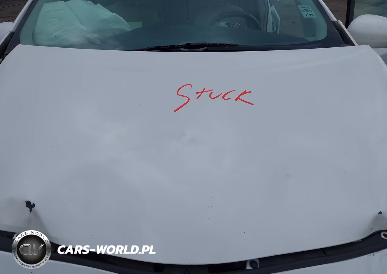 2010 Toyota Prius Iv VIN:JTDKN3DU1A0204042 - 10