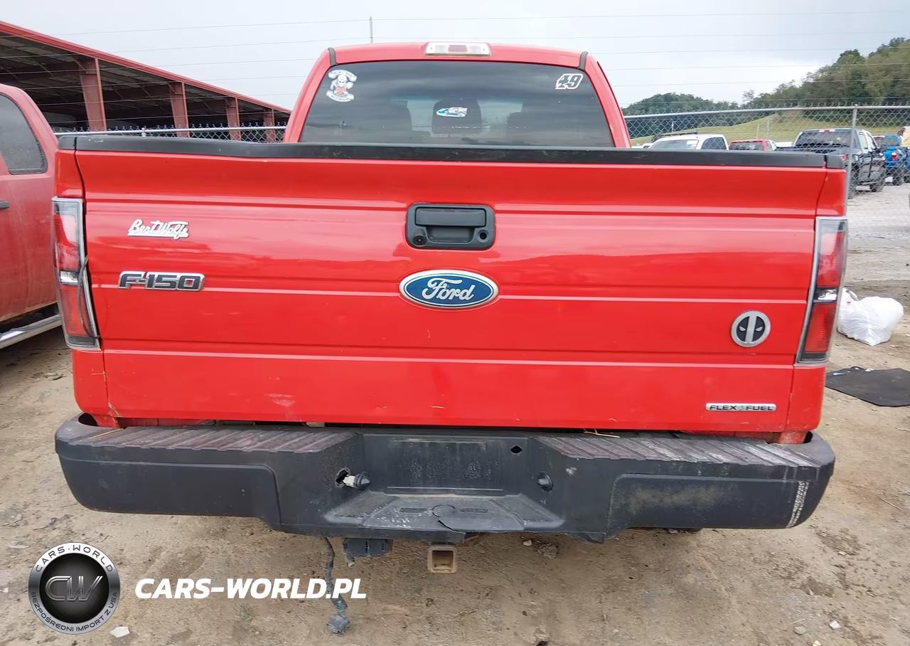 2012 Ford F-150 Xlt VIN:1FTFX1EF4CFB86894 - 16