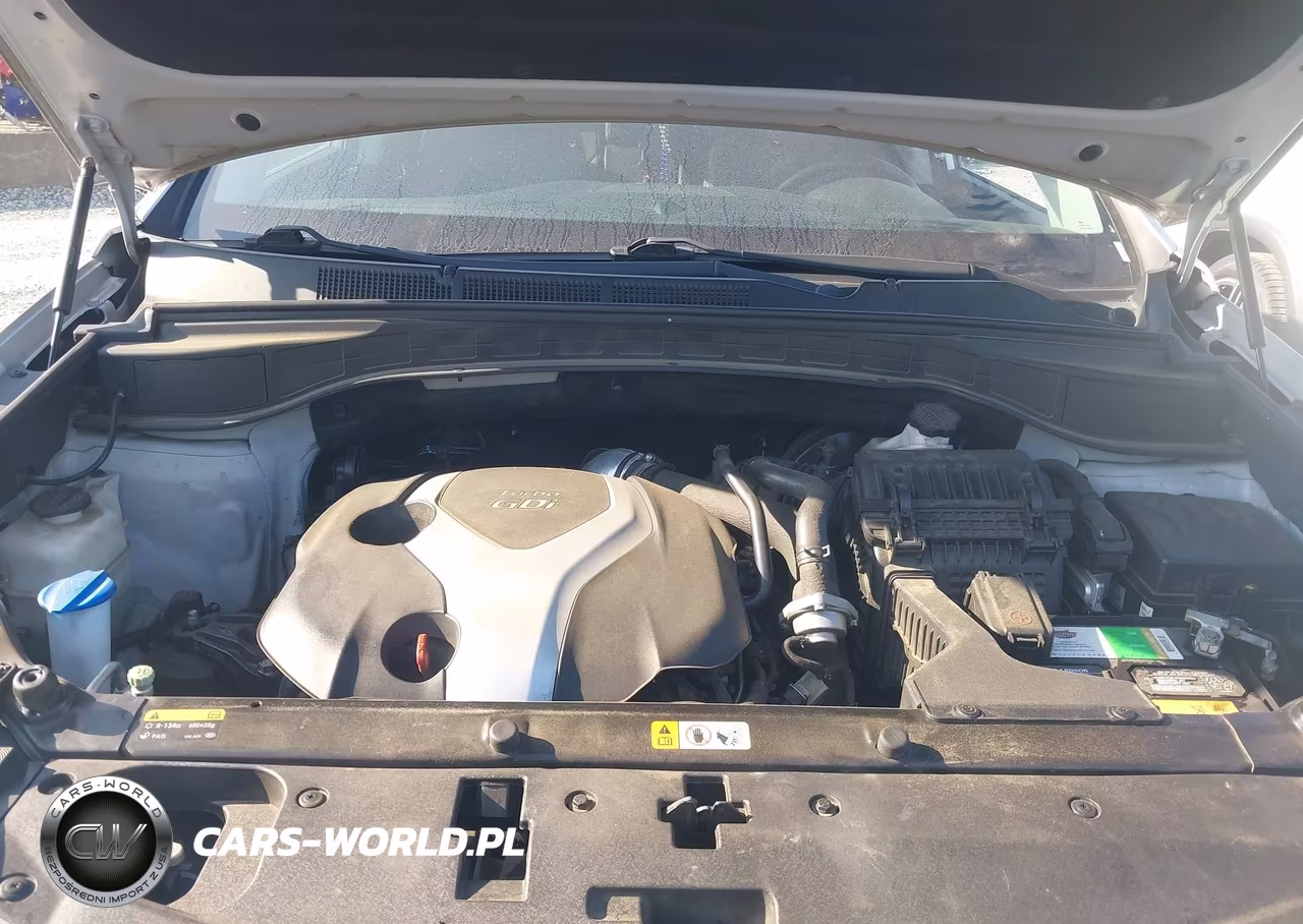 2016 Hyundai Santa Fe Sport 2.0L Turbo VIN:5XYZW4LA5GG319660 - 10