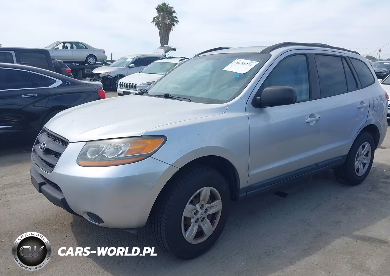 2009 Hyundai Santa Fe Gls VIN:5NMSG13D89H259499 - 2