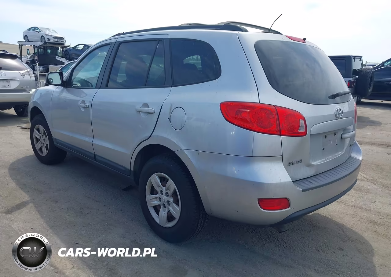 2009 Hyundai Santa Fe Gls VIN:5NMSG13D89H259499 - 3