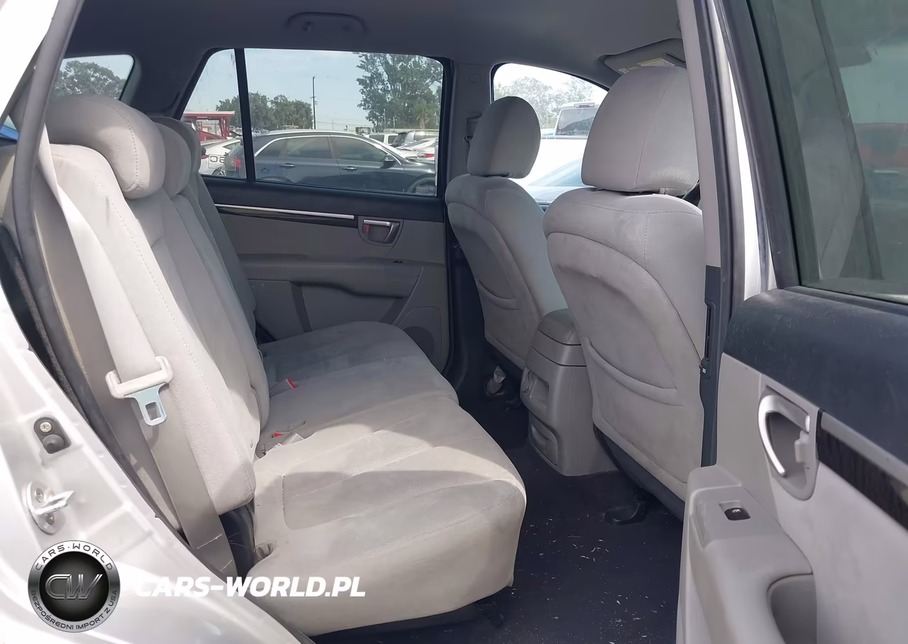 2009 Hyundai Santa Fe Gls VIN:5NMSG13D89H259499 - 8