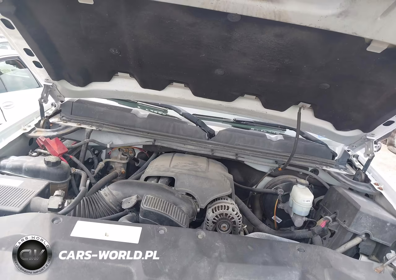 2010 Chevrolet Silverado 1500 Lt VIN:3GCRCSE09AG177209 - 10