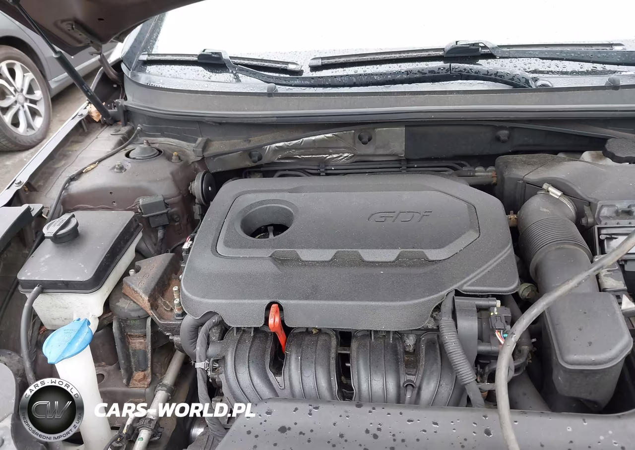 2016 Hyundai Sonata Se VIN:5NPE24AF1GH293558 - 10