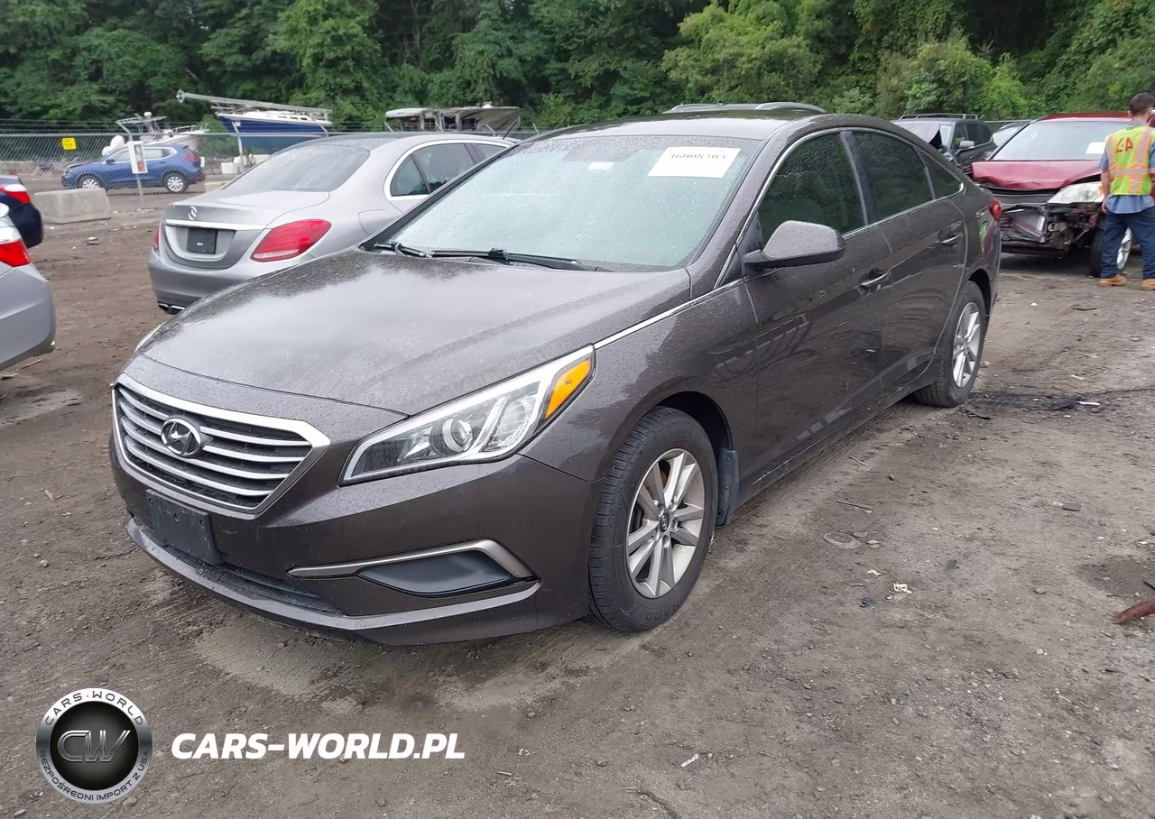 2016 Hyundai Sonata Se VIN:5NPE24AF1GH293558 - 2