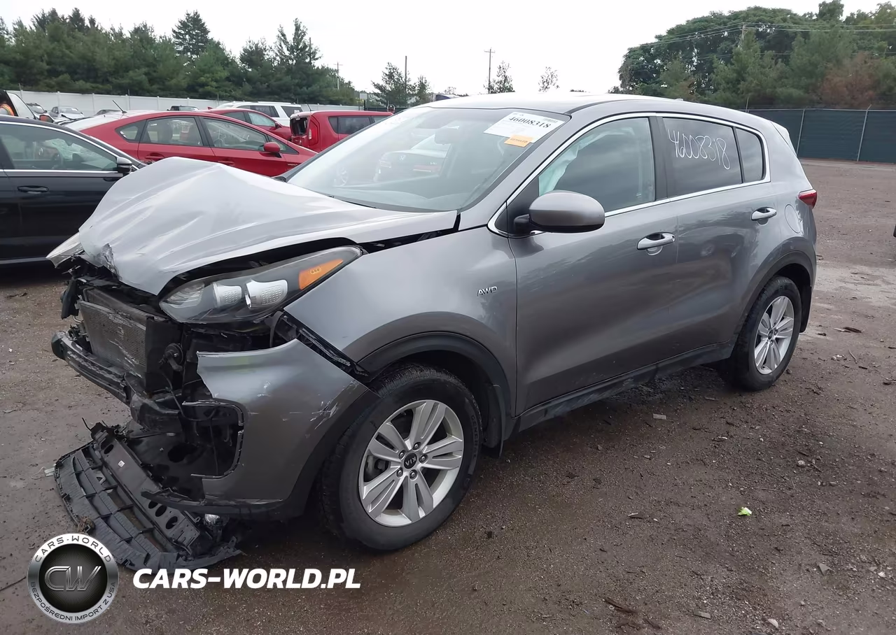 2019 Kia Sportage Lx VIN:KNDPMCAC0K7560396 - 2