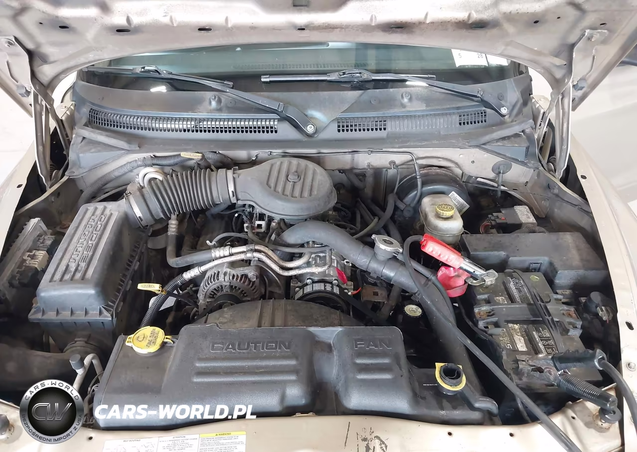 2003 Dodge Dakota VIN:1D7HG12X33S326047 - 10