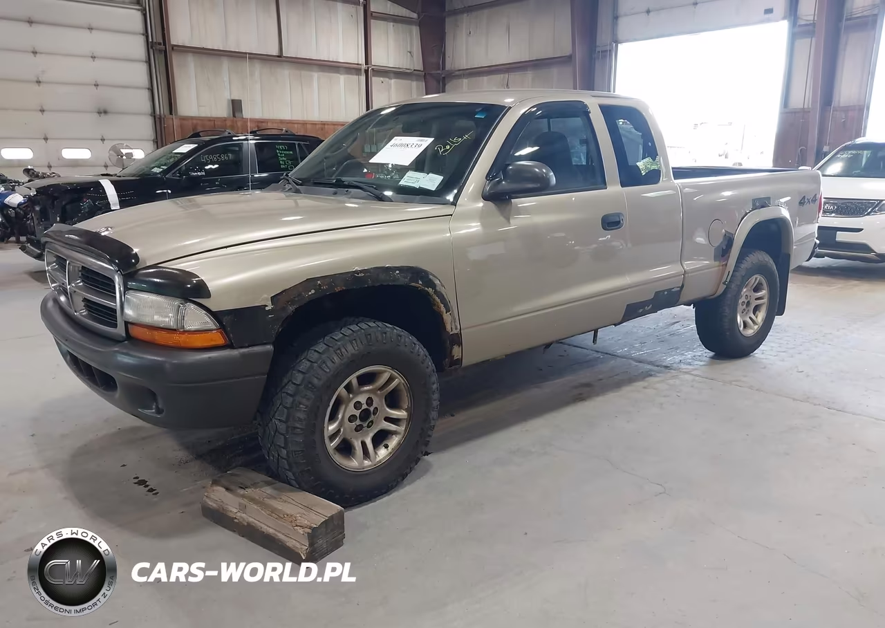 2003 Dodge Dakota VIN:1D7HG12X33S326047 - 2