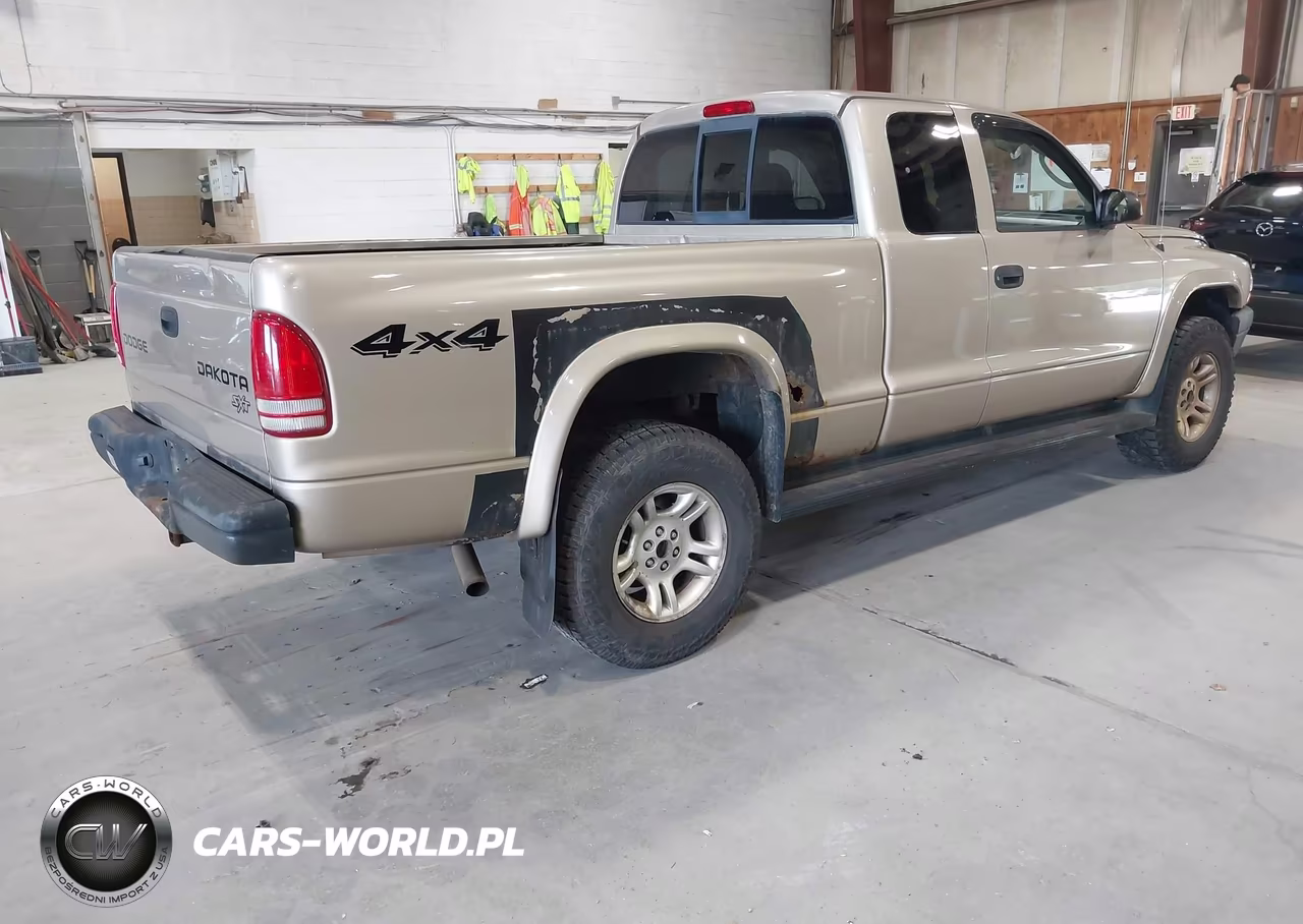 2003 Dodge Dakota VIN:1D7HG12X33S326047 - 4