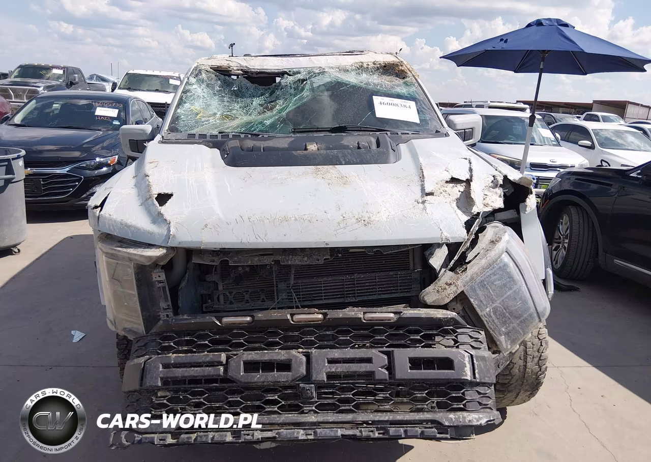 2023 Ford F-150 Raptor VIN:1FTFW1RG4PFD26180 - 12