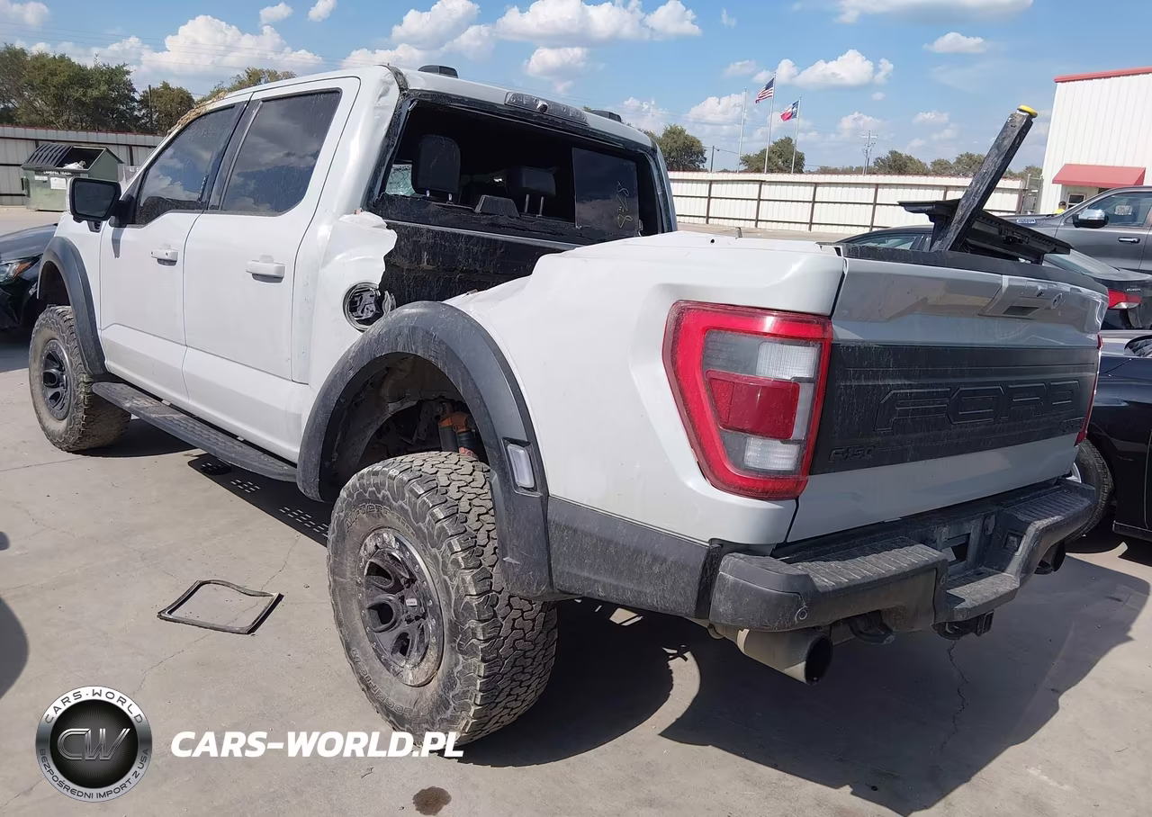 2023 Ford F-150 Raptor VIN:1FTFW1RG4PFD26180 - 3