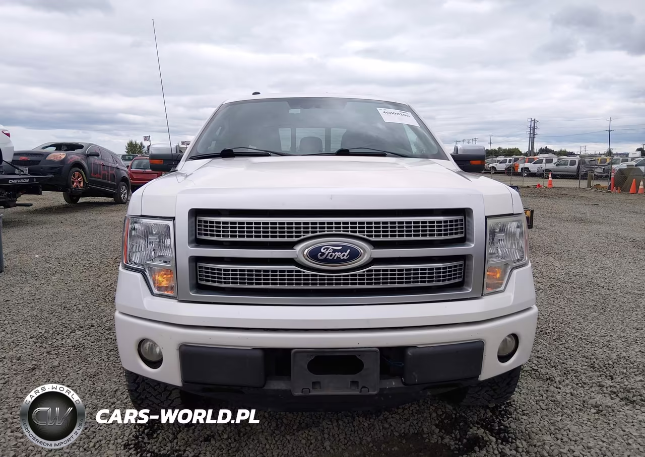 2011 Ford F-150 Platinum VIN:1FTFW1EF9BFC34794 - 13