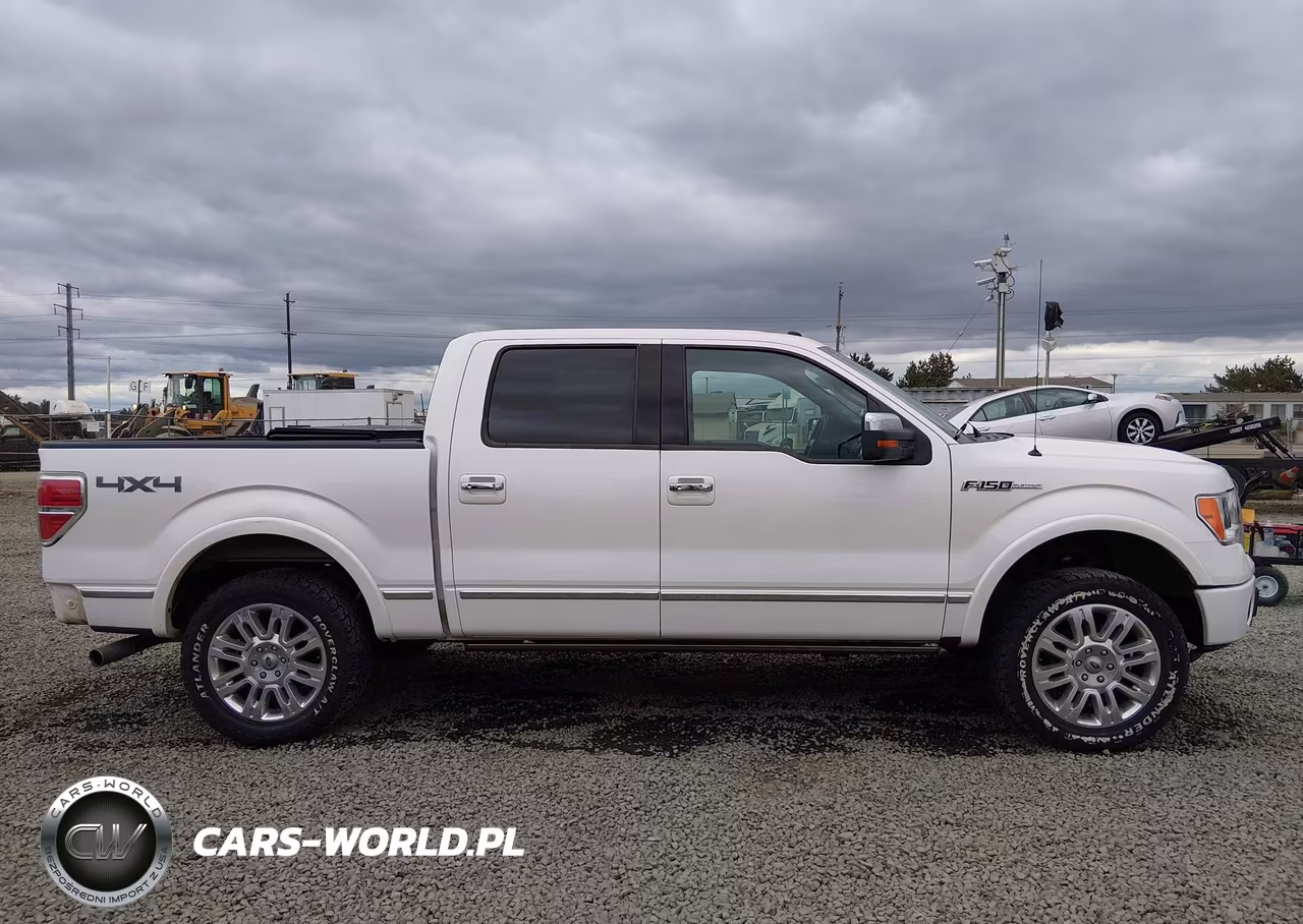 2011 Ford F-150 Platinum VIN:1FTFW1EF9BFC34794 - 14