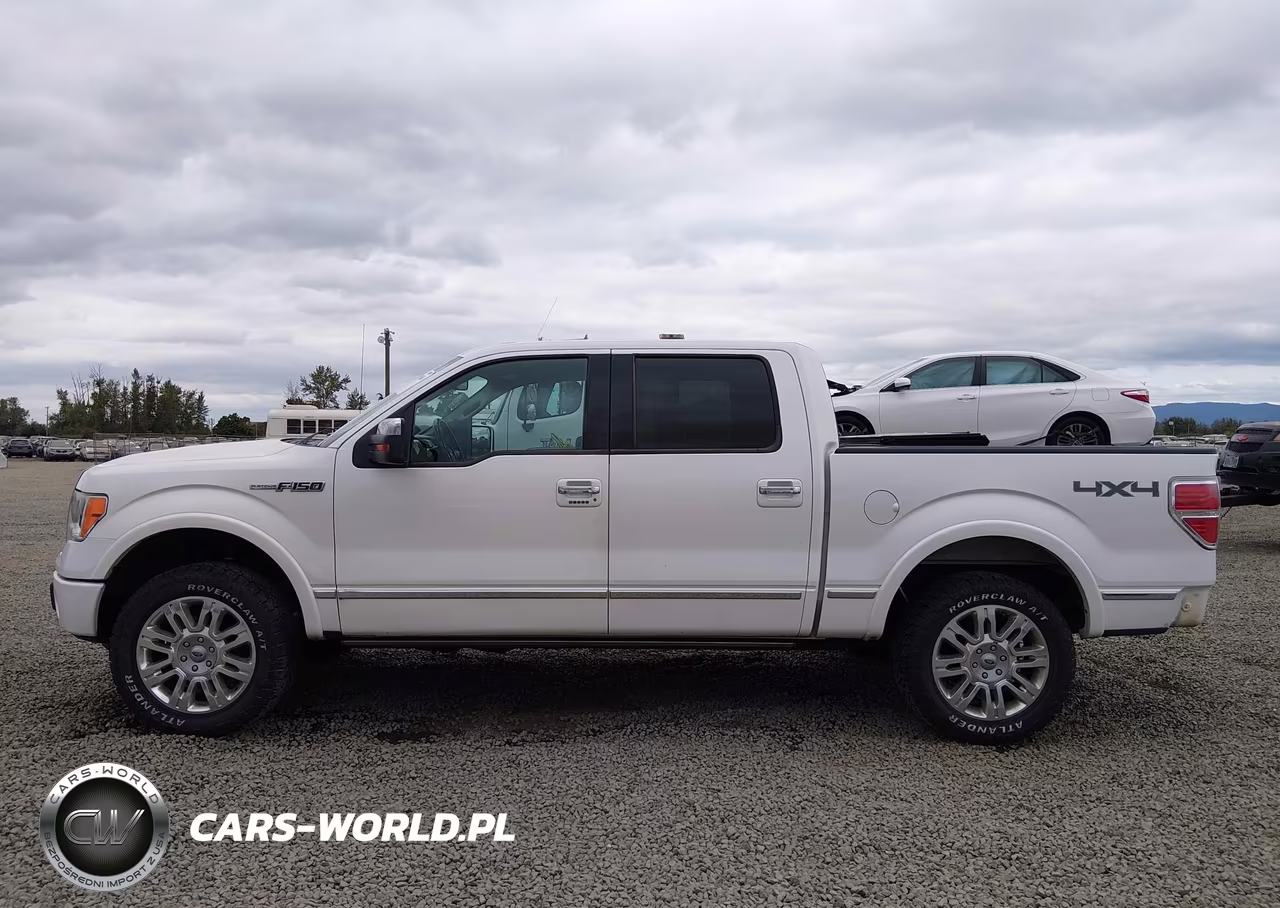 2011 Ford F-150 Platinum VIN:1FTFW1EF9BFC34794 - 15
