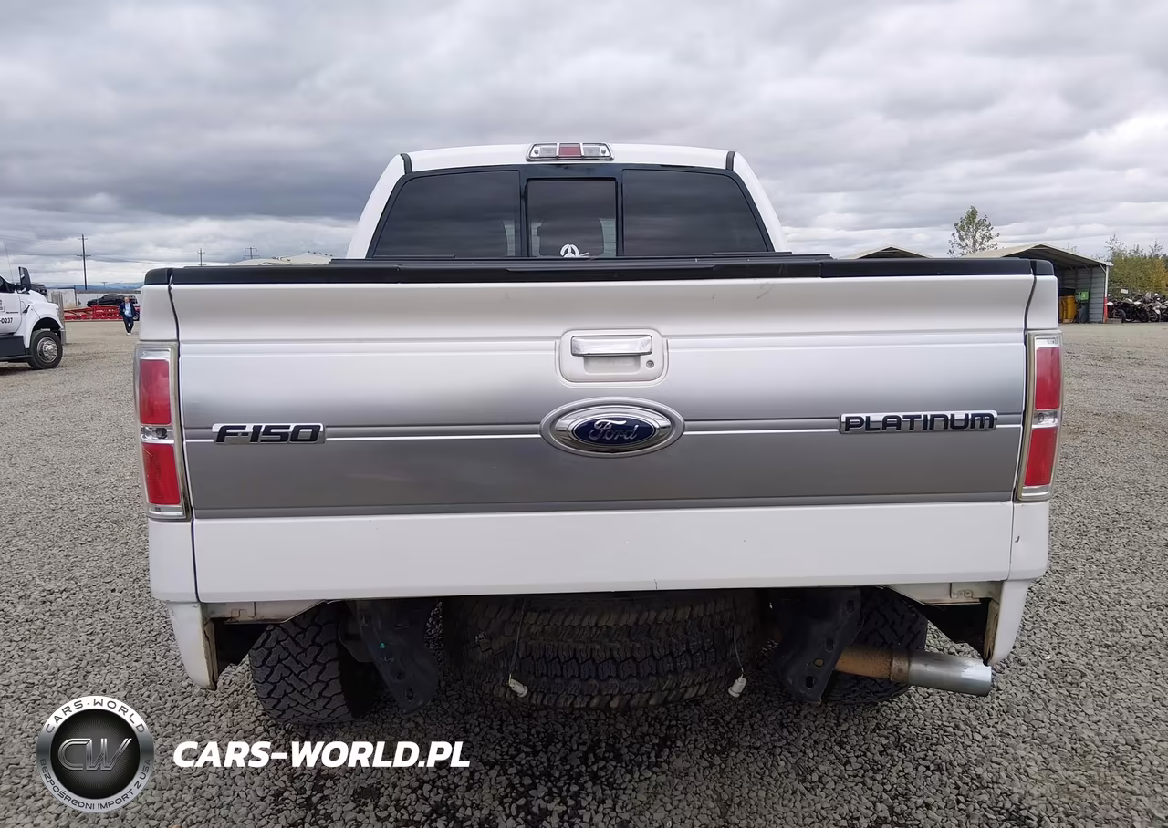 2011 Ford F-150 Platinum VIN:1FTFW1EF9BFC34794 - 17