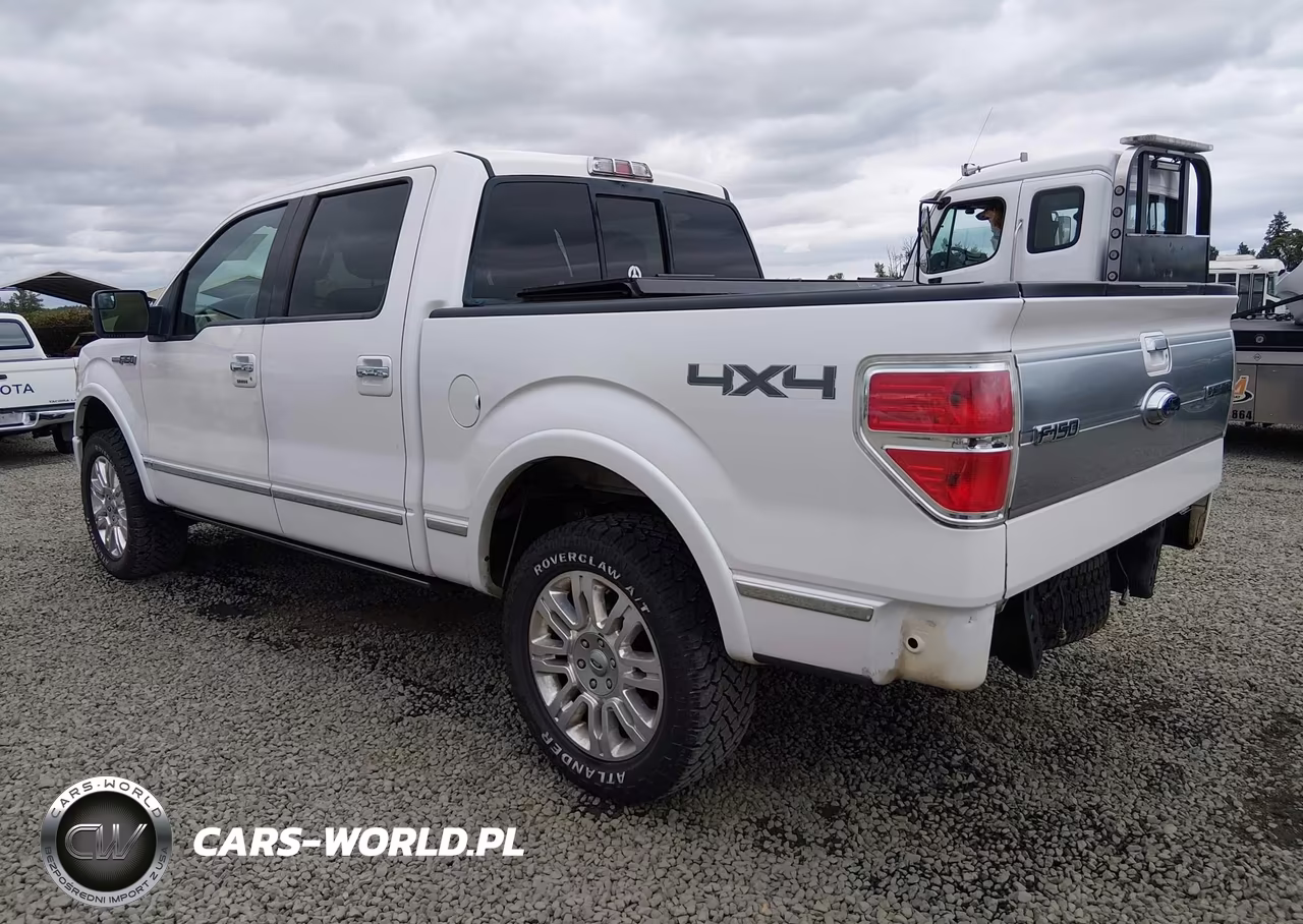 2011 Ford F-150 Platinum VIN:1FTFW1EF9BFC34794 - 3
