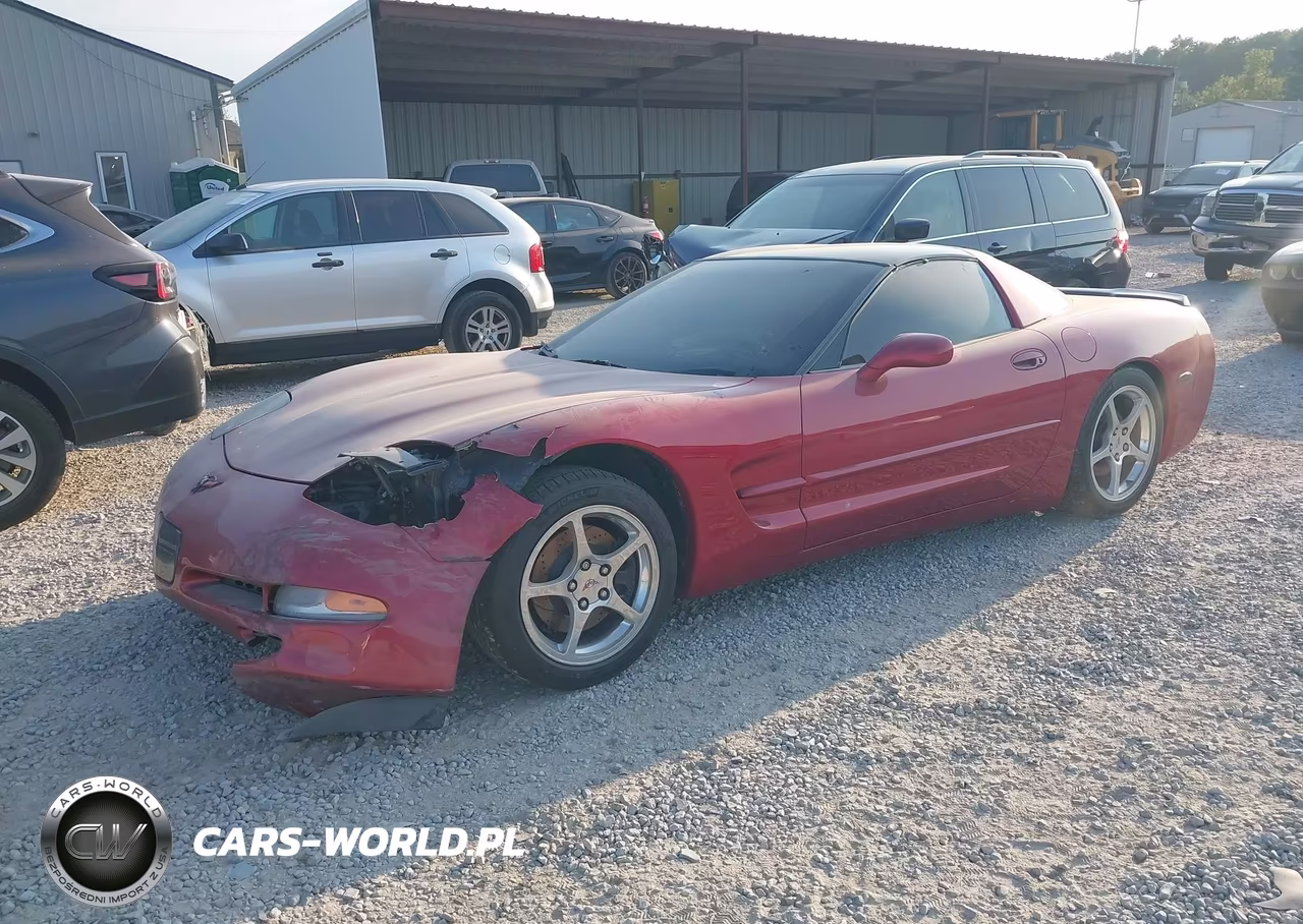 2002 Chevrolet Corvette VIN:1G1YY22G925127734 - 2