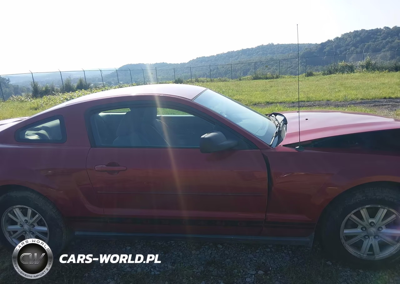 2008 Ford Mustang V6 Deluxe-V6 Premium VIN:1ZVHT80N585201022 - 14