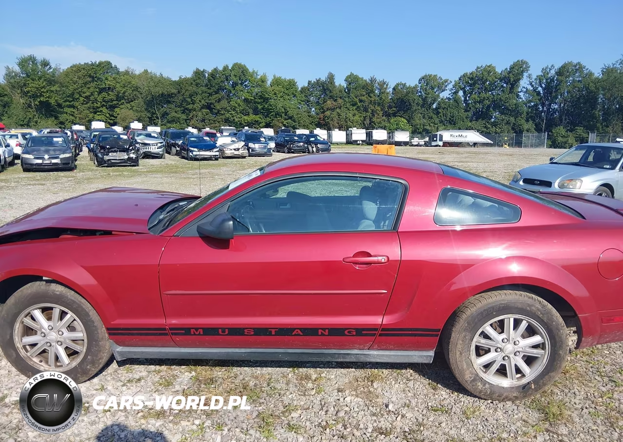 2008 Ford Mustang V6 Deluxe-V6 Premium VIN:1ZVHT80N585201022 - 15