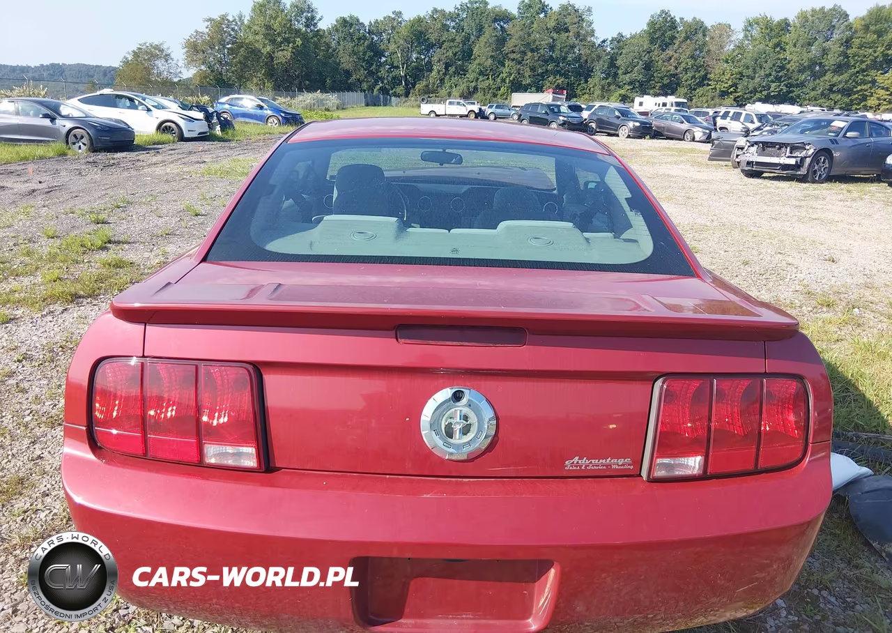 2008 Ford Mustang V6 Deluxe-V6 Premium VIN:1ZVHT80N585201022 - 17