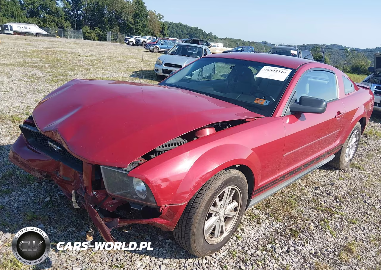 2008 Ford Mustang V6 Deluxe-V6 Premium VIN:1ZVHT80N585201022 - 2