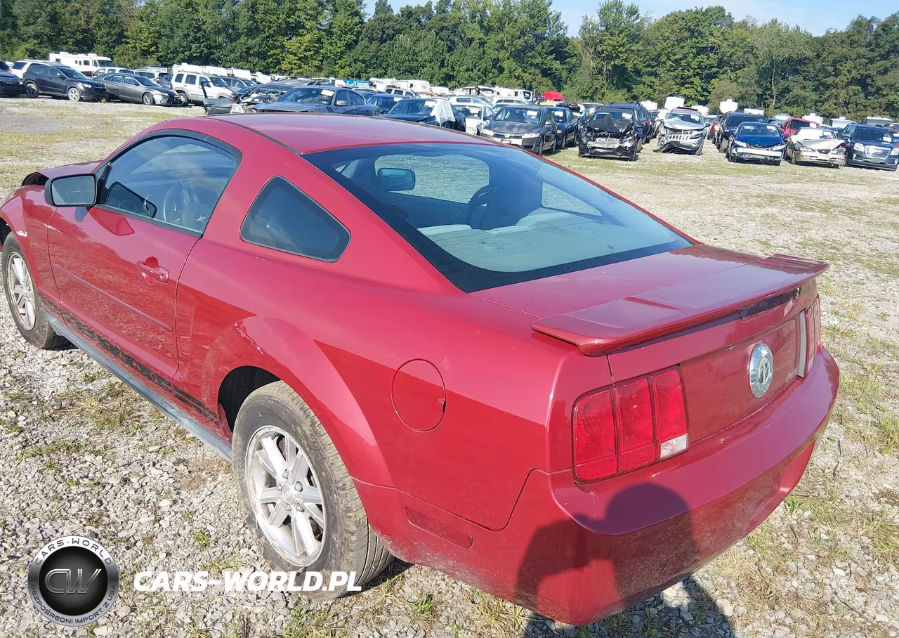 2008 Ford Mustang V6 Deluxe-V6 Premium VIN:1ZVHT80N585201022 - 3