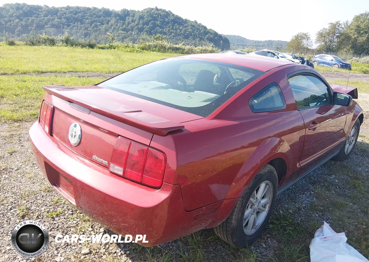2008 Ford Mustang V6 Deluxe-V6 Premium VIN:1ZVHT80N585201022 - 4