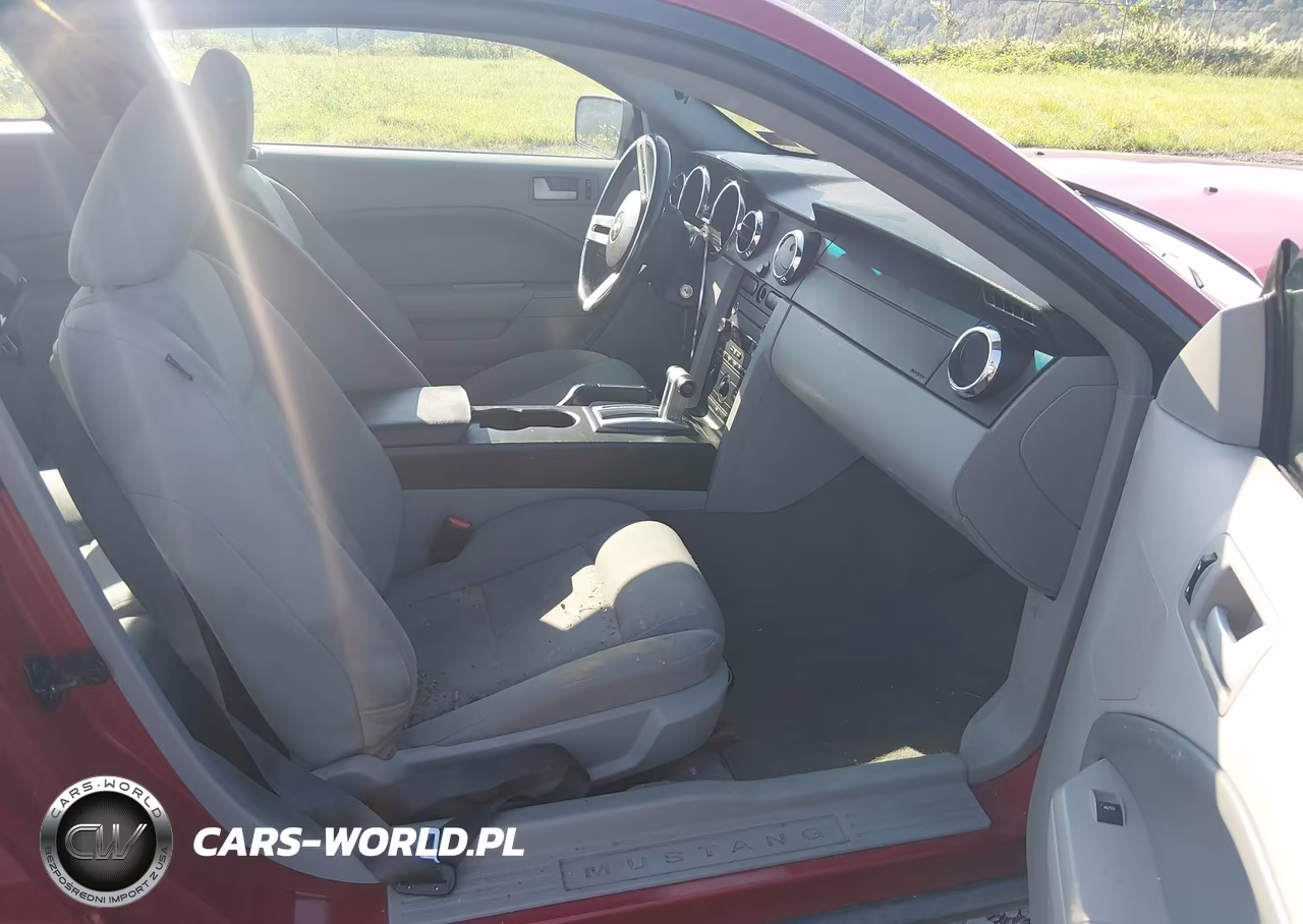 2008 Ford Mustang V6 Deluxe-V6 Premium VIN:1ZVHT80N585201022 - 5