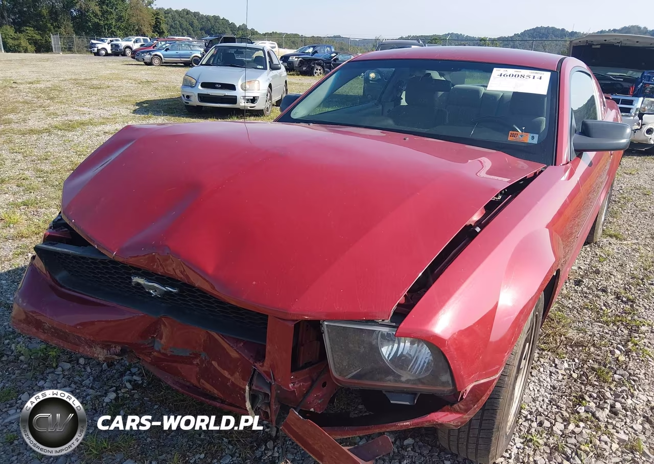 2008 Ford Mustang V6 Deluxe-V6 Premium VIN:1ZVHT80N585201022 - 6