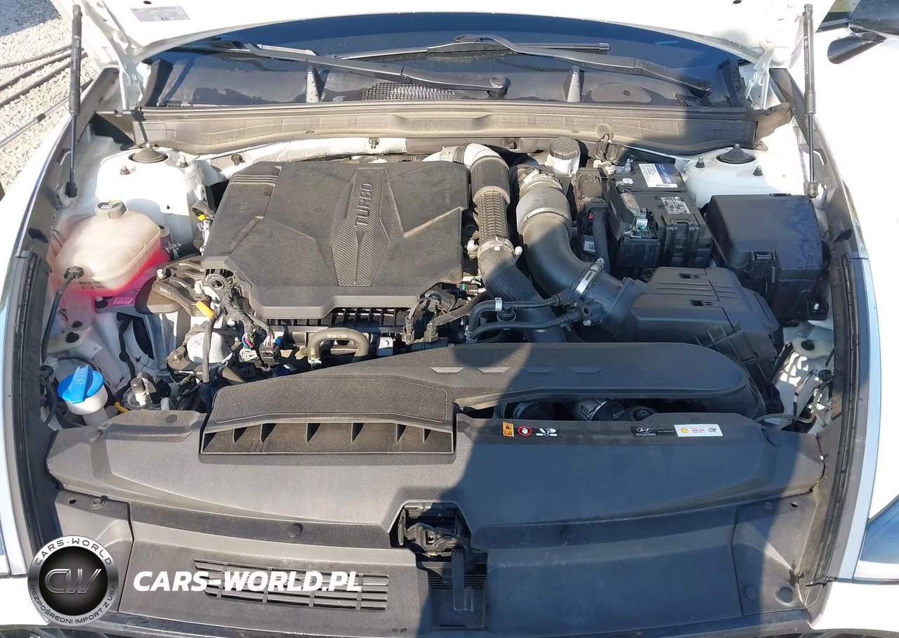 2023 Hyundai Sonata N Line VIN:KMHL14JC7PA272586 - 10
