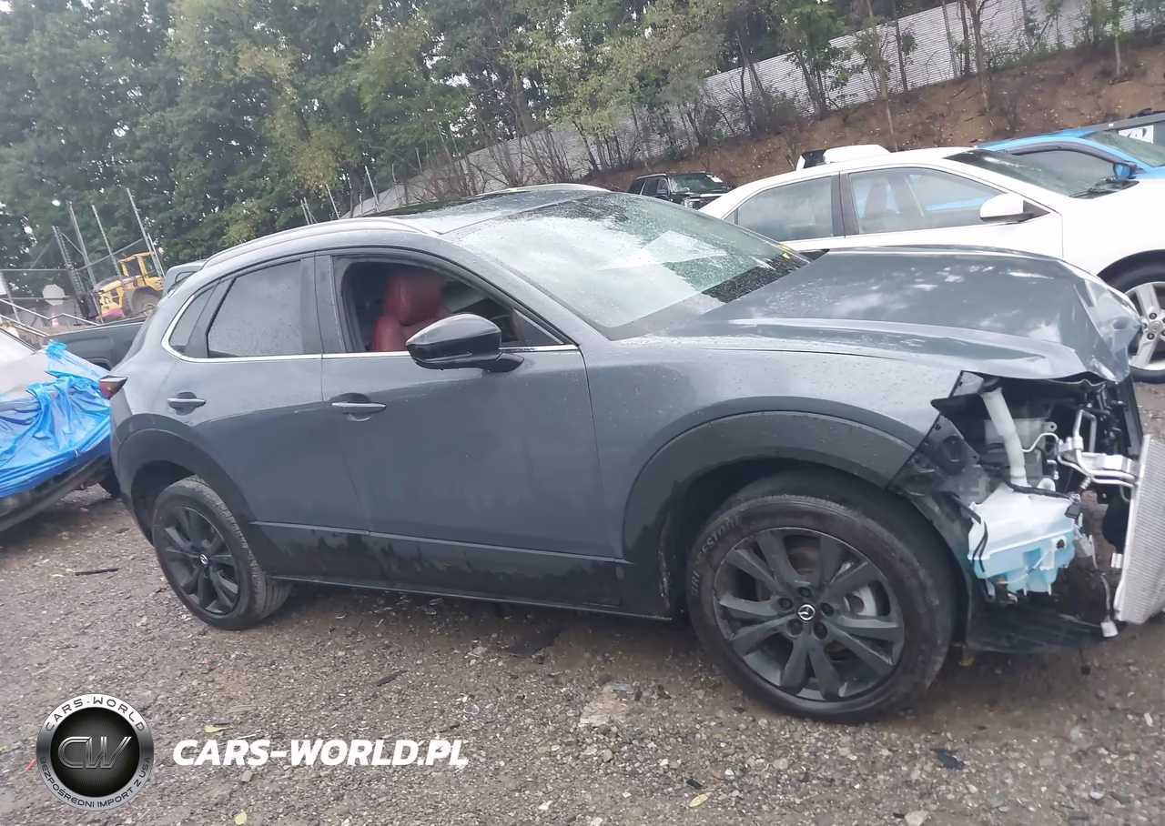 2023 Mazda Cx-30 2.5 S Carbon Edition VIN:3MVDMBCM2PM552296 - 13