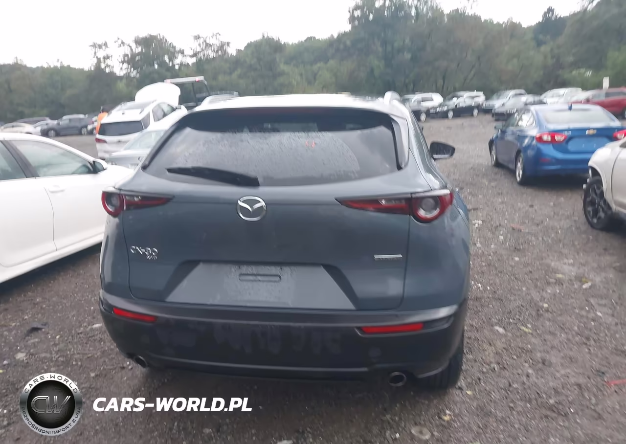 2023 Mazda Cx-30 2.5 S Carbon Edition VIN:3MVDMBCM2PM552296 - 16