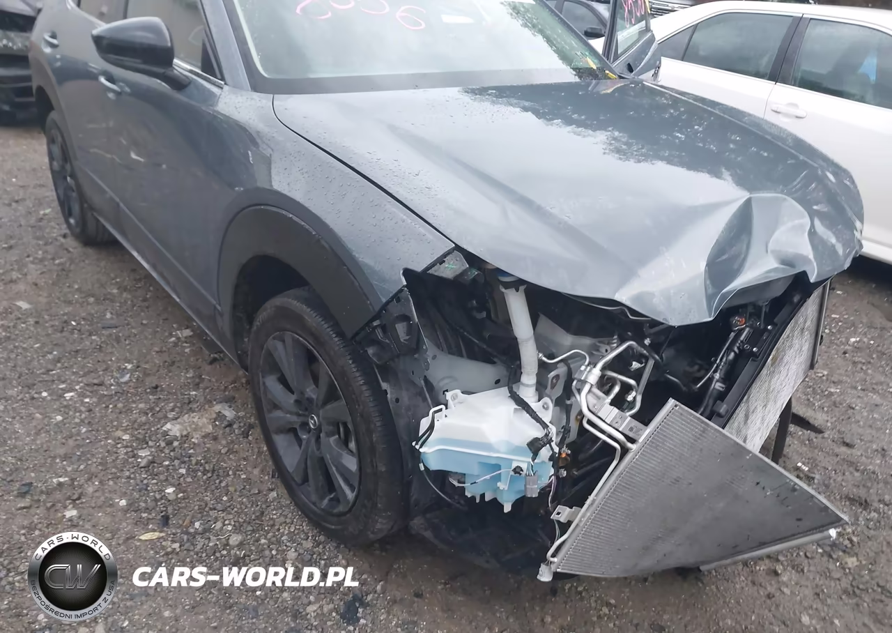 2023 Mazda Cx-30 2.5 S Carbon Edition VIN:3MVDMBCM2PM552296 - 20