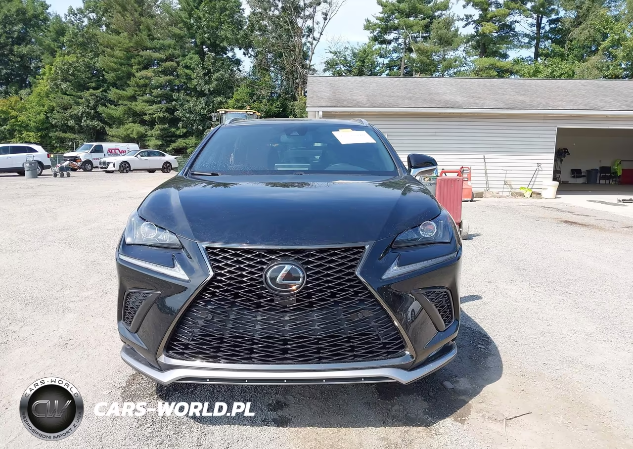 2020 Lexus Nx 300 F Sport VIN:JTJSARDZ0L5004797 - 12