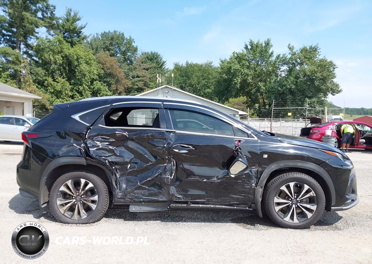 2020 Lexus Nx 300 F Sport VIN:JTJSARDZ0L5004797 - 13