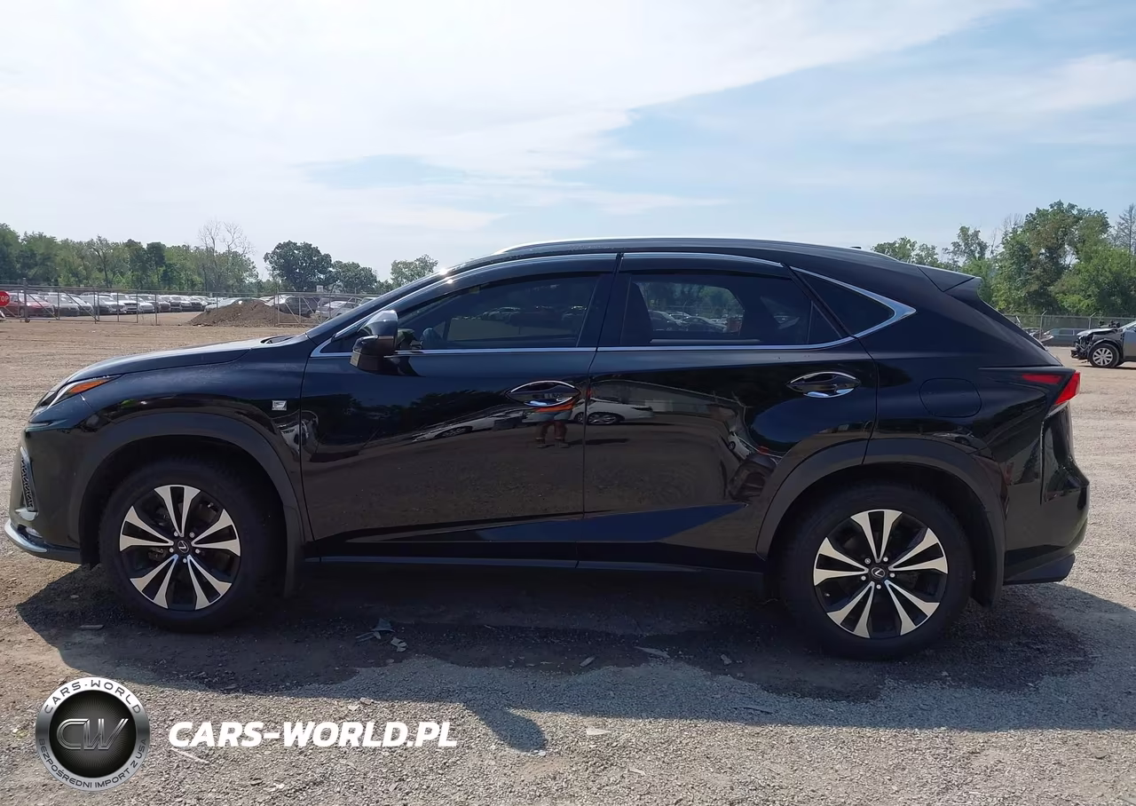 2020 Lexus Nx 300 F Sport VIN:JTJSARDZ0L5004797 - 14