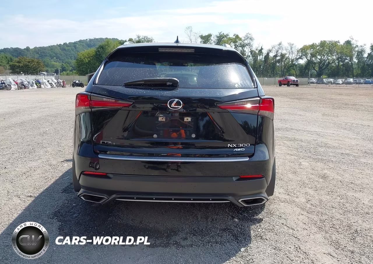 2020 Lexus Nx 300 F Sport VIN:JTJSARDZ0L5004797 - 16