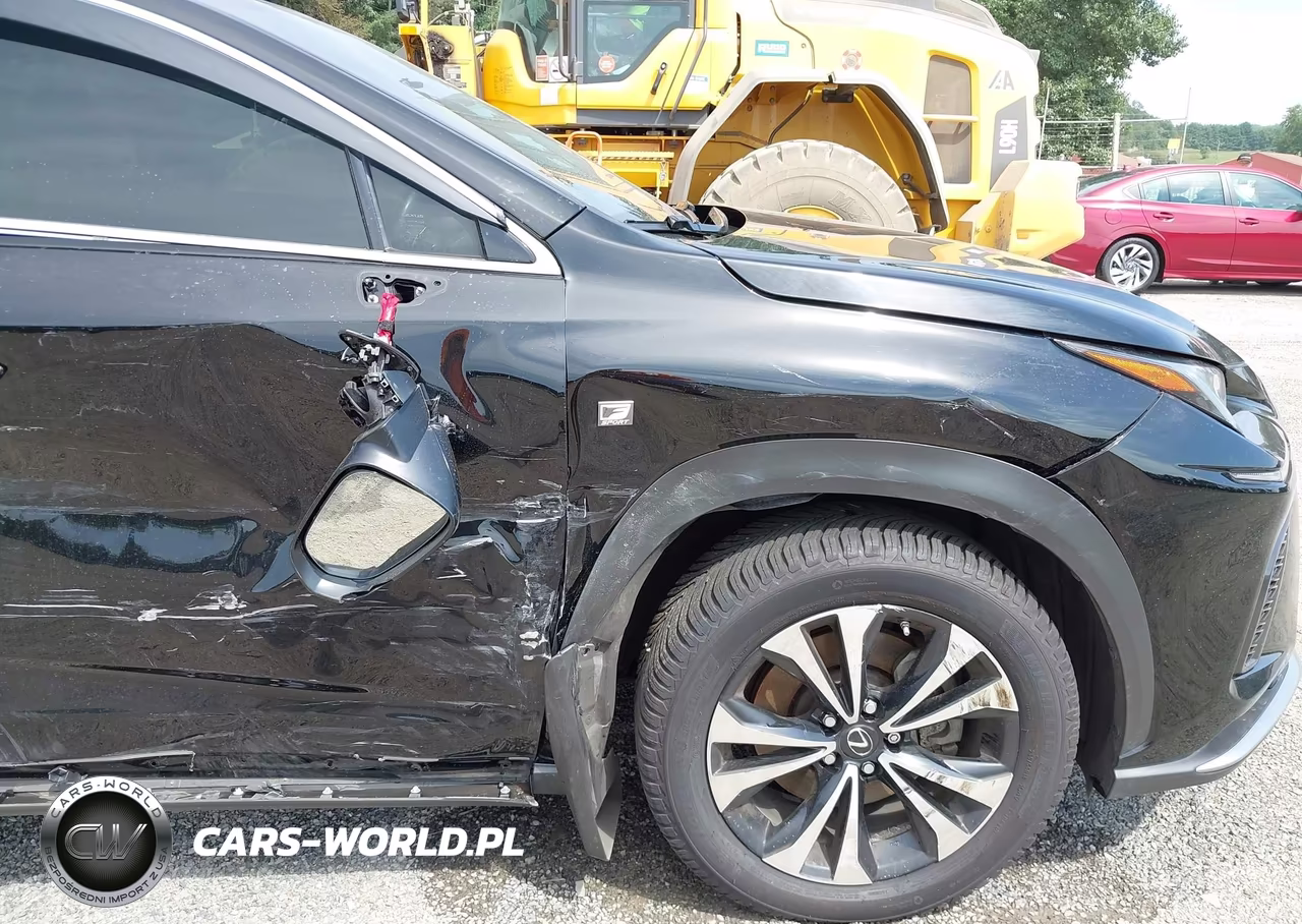 2020 Lexus Nx 300 F Sport VIN:JTJSARDZ0L5004797 - 17