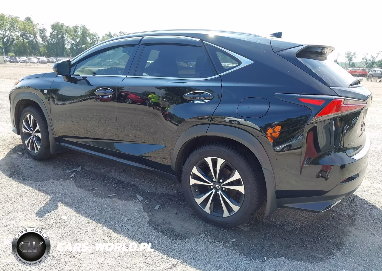 2020 Lexus Nx 300 F Sport VIN:JTJSARDZ0L5004797 - 3