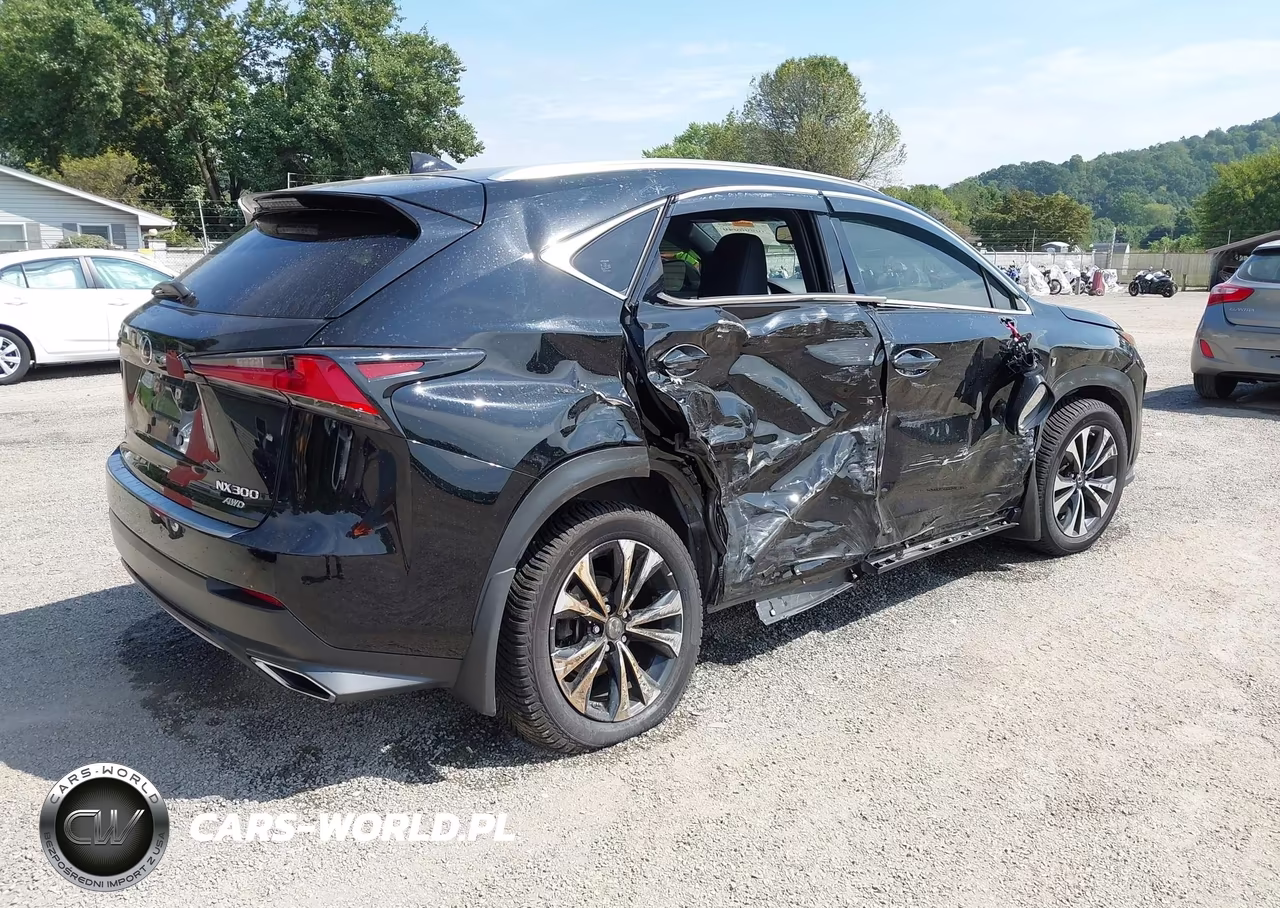 2020 Lexus Nx 300 F Sport VIN:JTJSARDZ0L5004797 - 4