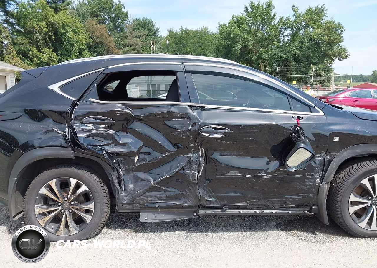 2020 Lexus Nx 300 F Sport VIN:JTJSARDZ0L5004797 - 6
