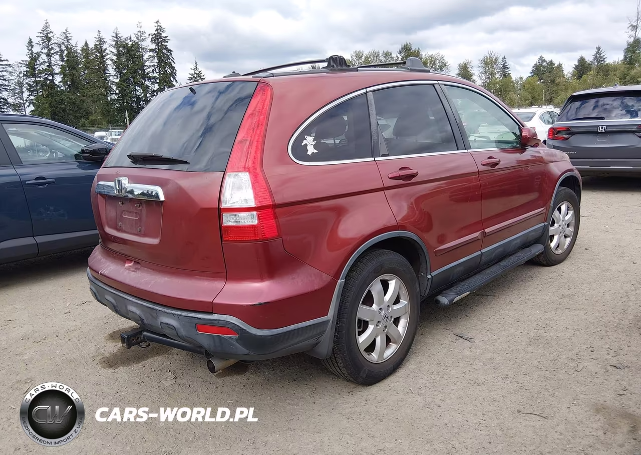 2007 Honda Cr-V Ex-L VIN:JHLRE48767C078019 - 4