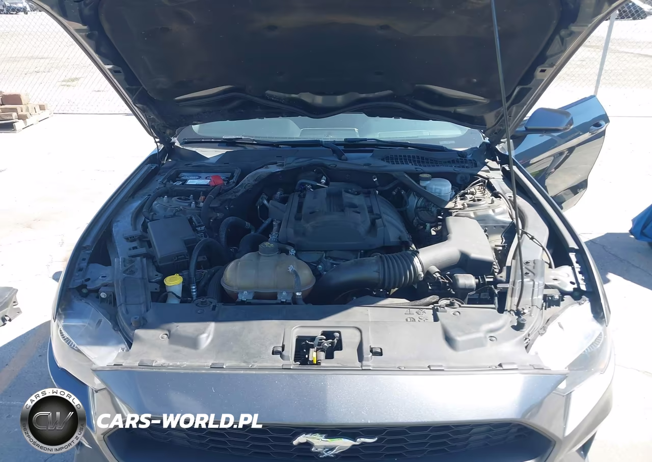 2019 Ford Mustang Ecoboost Premium VIN:1FATP8UHXK5106443 - 10
