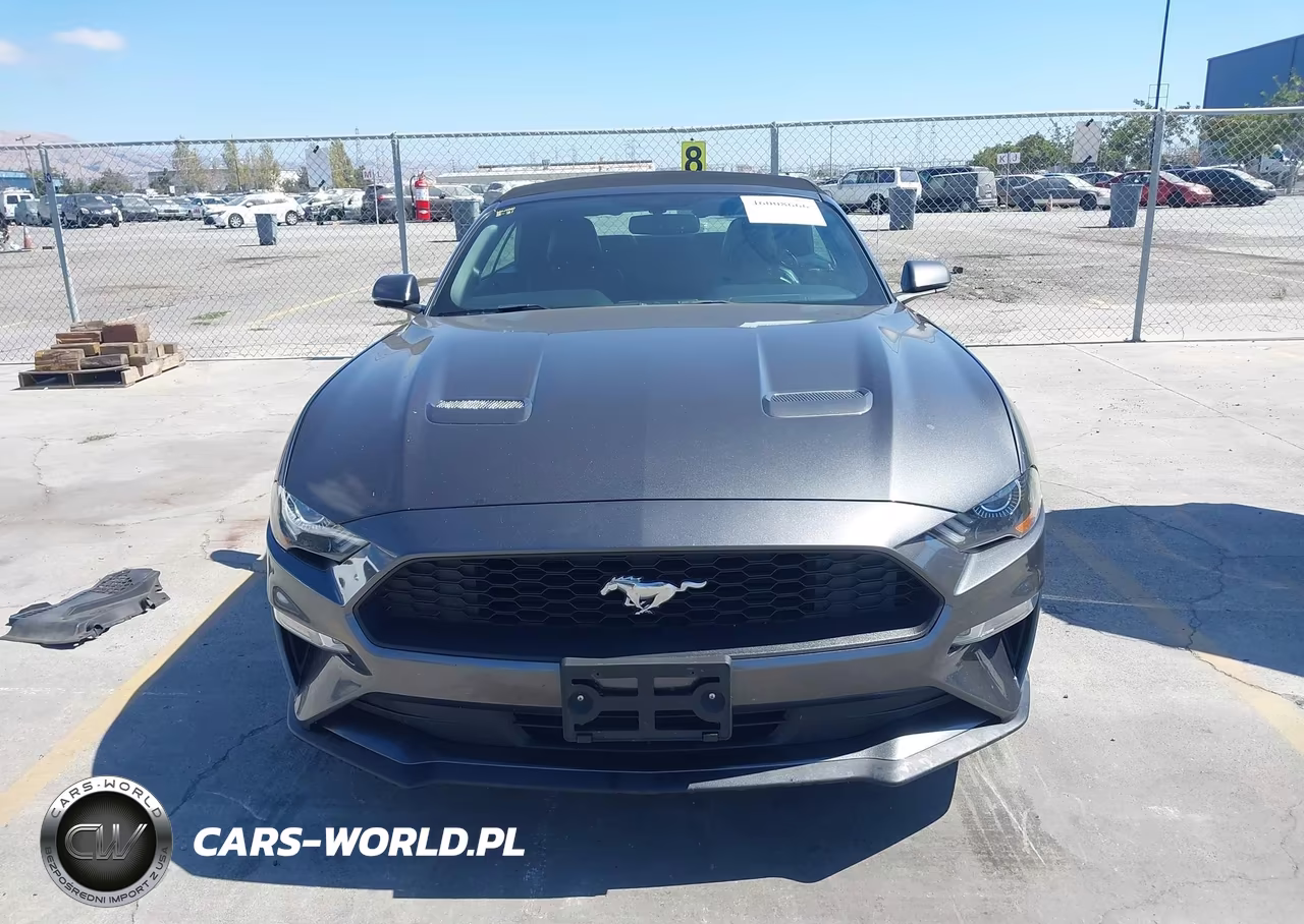 2019 Ford Mustang Ecoboost Premium VIN:1FATP8UHXK5106443 - 13