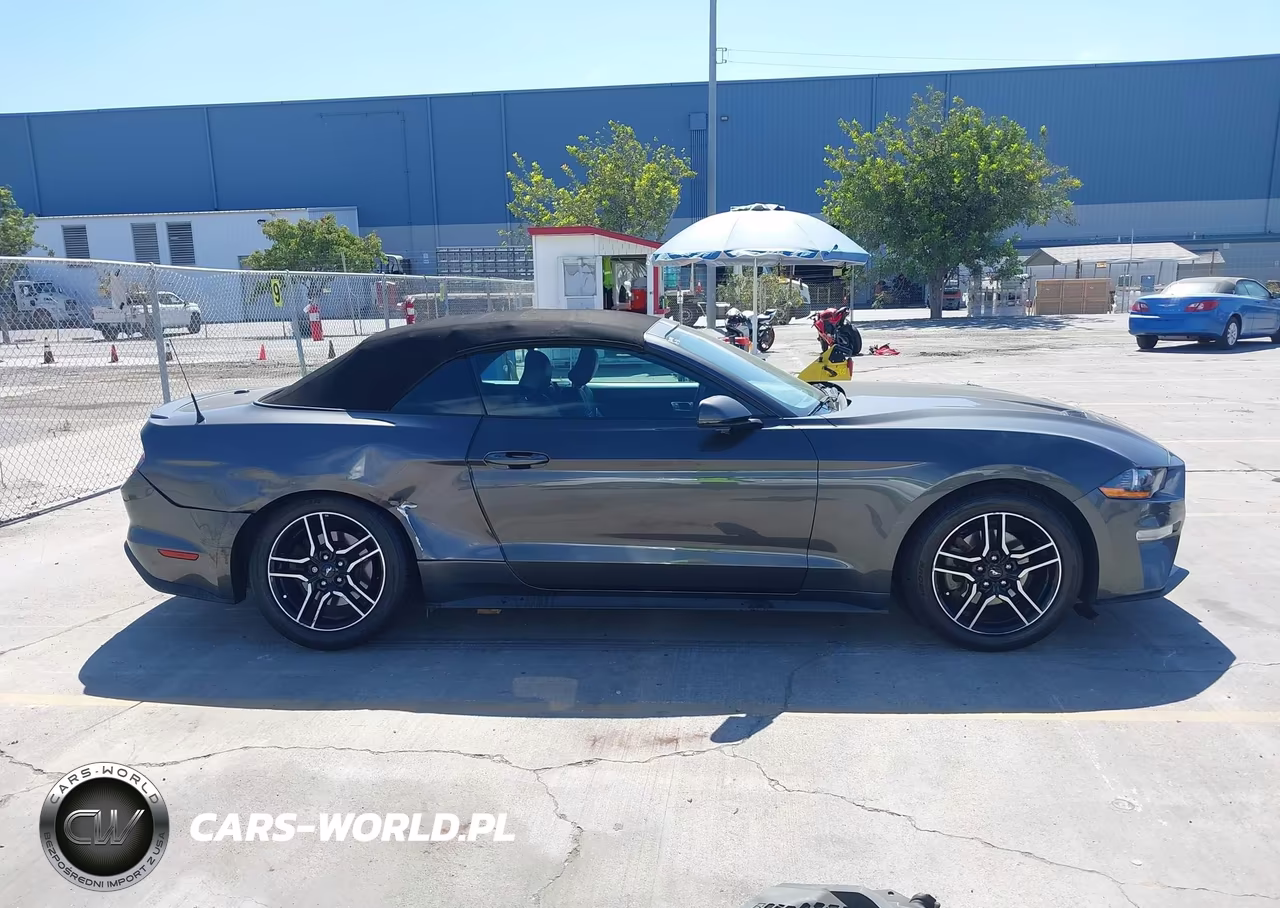 2019 Ford Mustang Ecoboost Premium VIN:1FATP8UHXK5106443 - 14