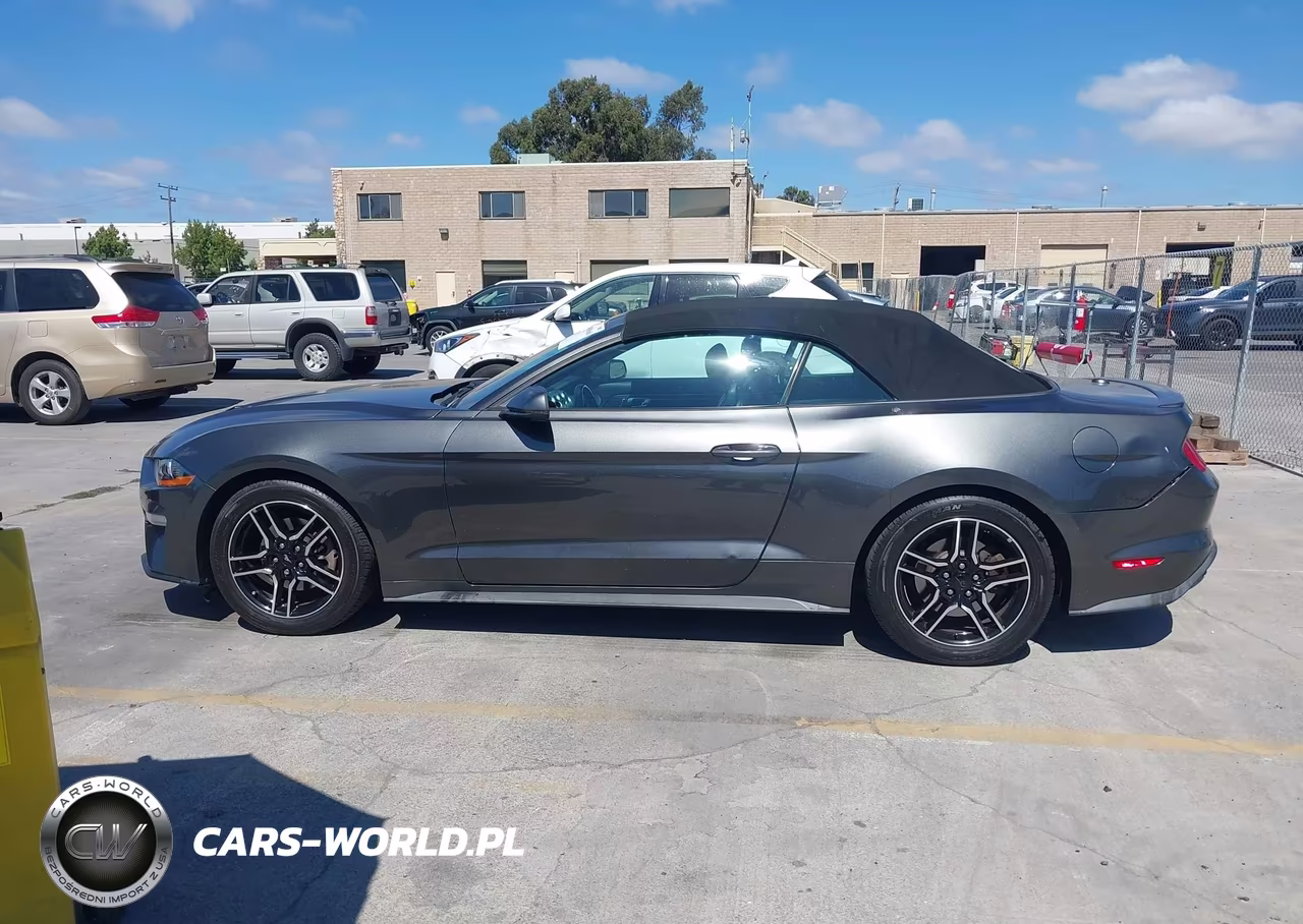 2019 Ford Mustang Ecoboost Premium VIN:1FATP8UHXK5106443 - 15