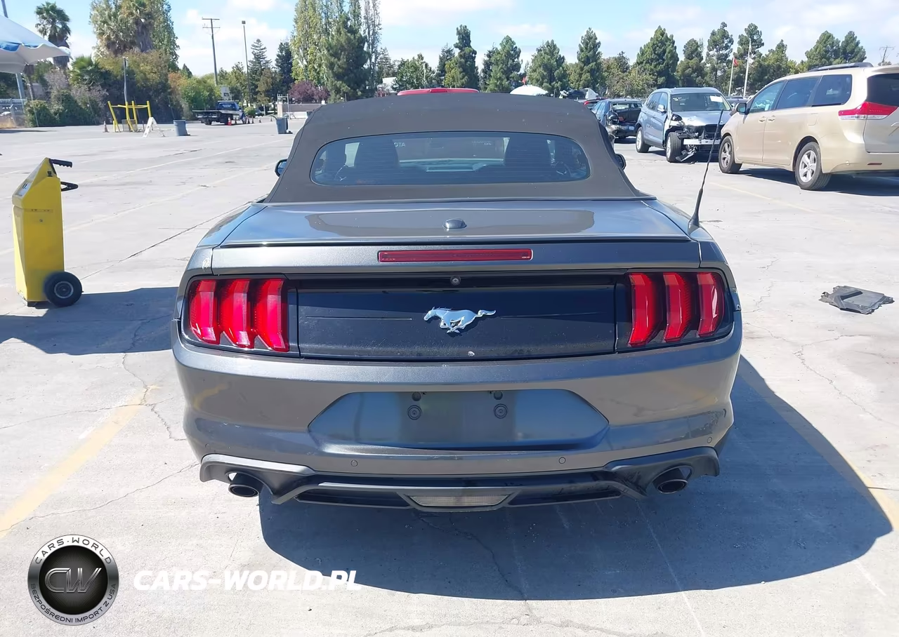 2019 Ford Mustang Ecoboost Premium VIN:1FATP8UHXK5106443 - 17