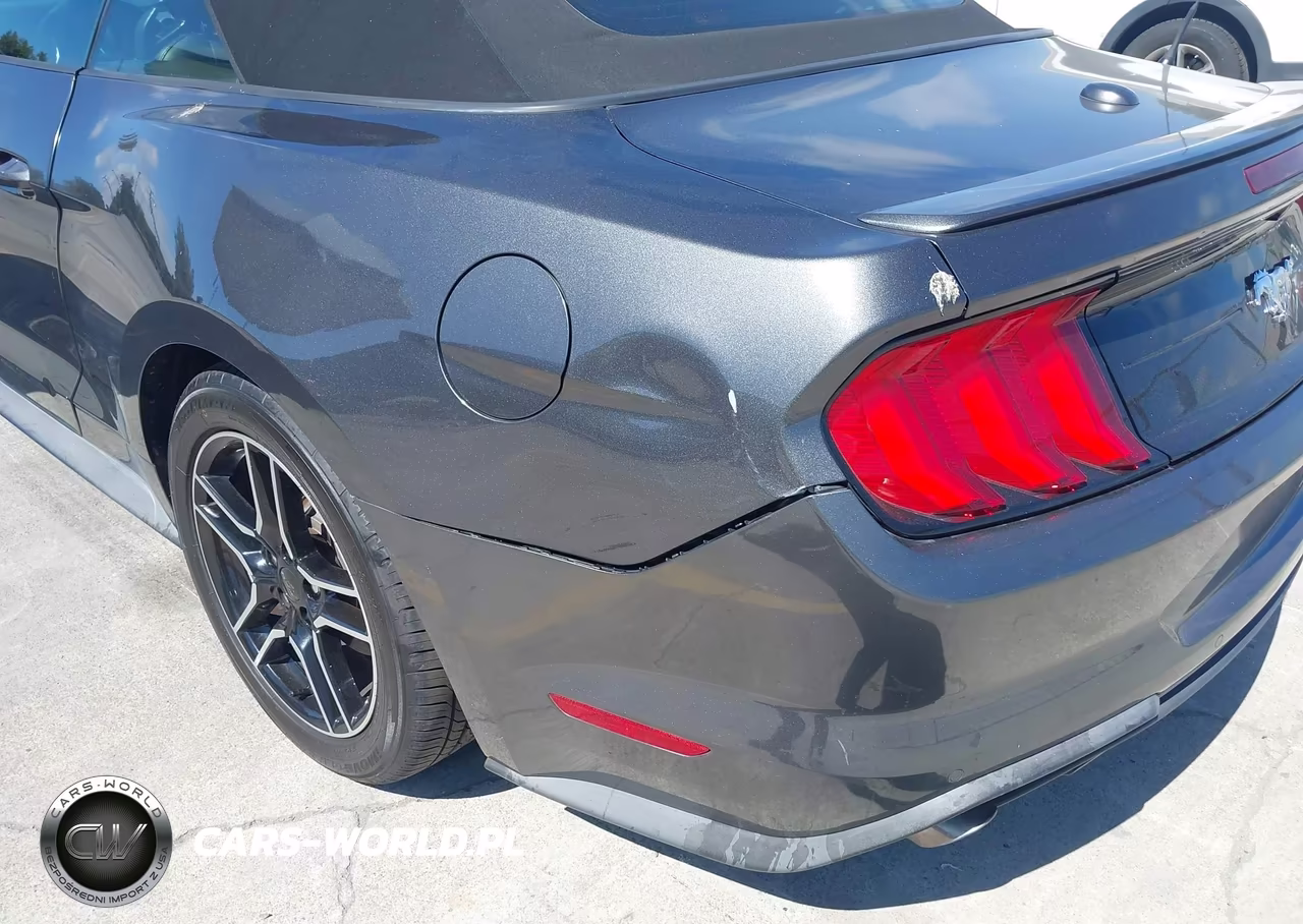 2019 Ford Mustang Ecoboost Premium VIN:1FATP8UHXK5106443 - 18