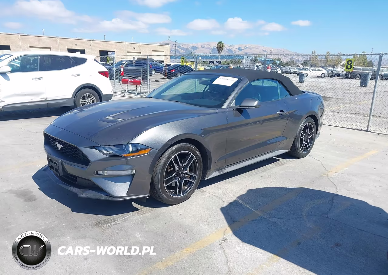 2019 Ford Mustang Ecoboost Premium VIN:1FATP8UHXK5106443 - 2